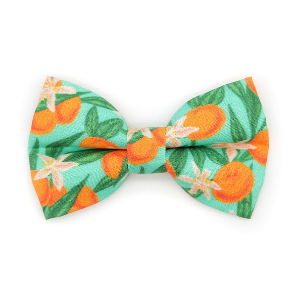 Cat Bow Tie - "Clementine Blossom" - Mint Green & Orange Citrus Bow Tie for Cat Collar / Spring, Summer, Tropical / Cat + Small Dog Bowtie