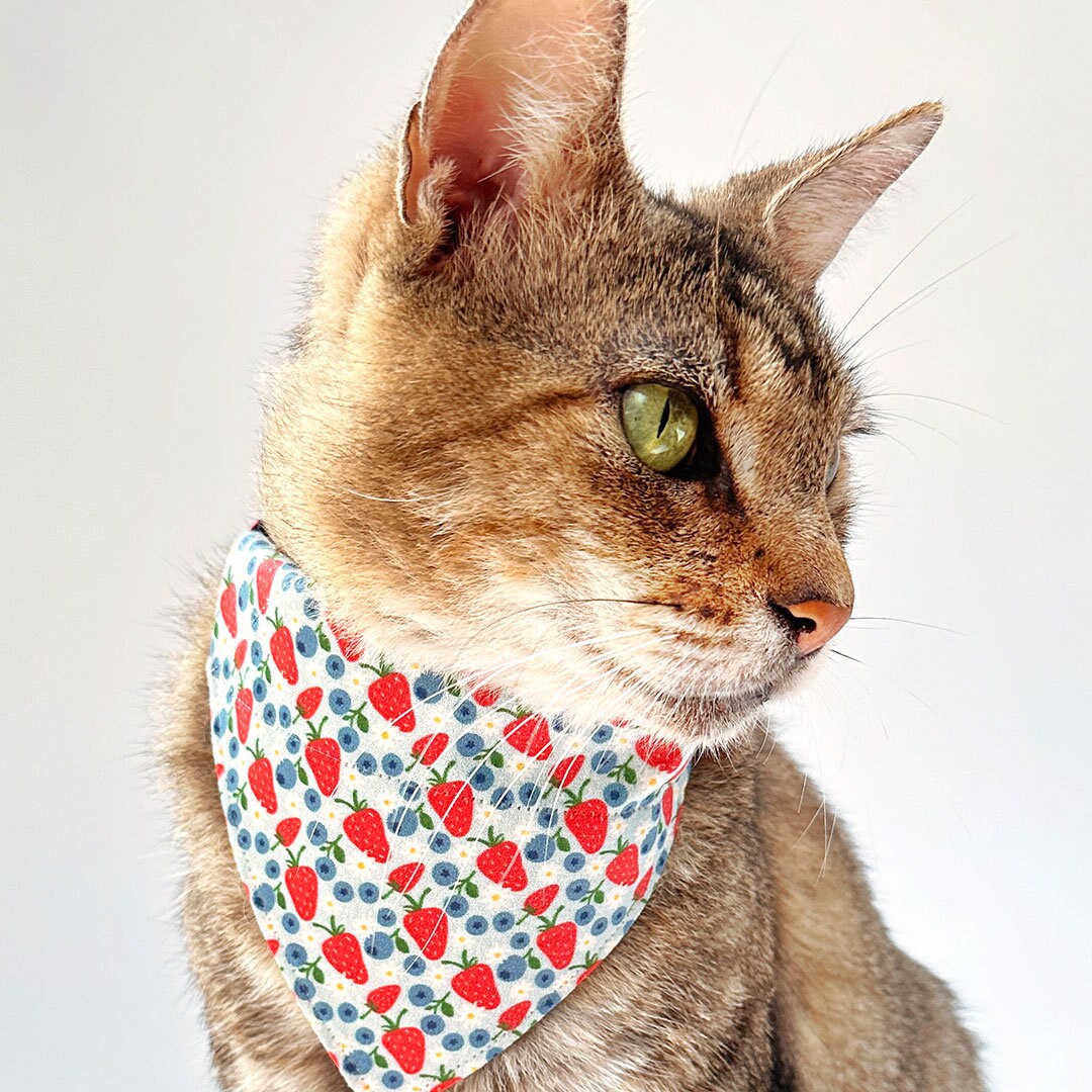 猫用バンダナ - 「ベリーブランブル」 - 猫と小型犬用ブルーベリー