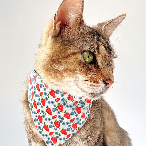 猫用バンダナ - 「ベリーブランブル」 - 猫と小型犬用ブルーベリー