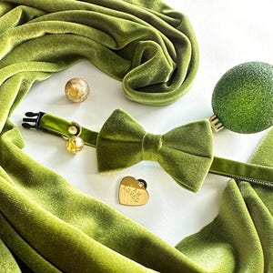 Collar de gato con lazo - Terciopelo - Verde hoja - Collar de gato de terciopelo verde oliva con lazo a juego / Primavera, verano, otoño / Boda / Gato + Perro pequeño