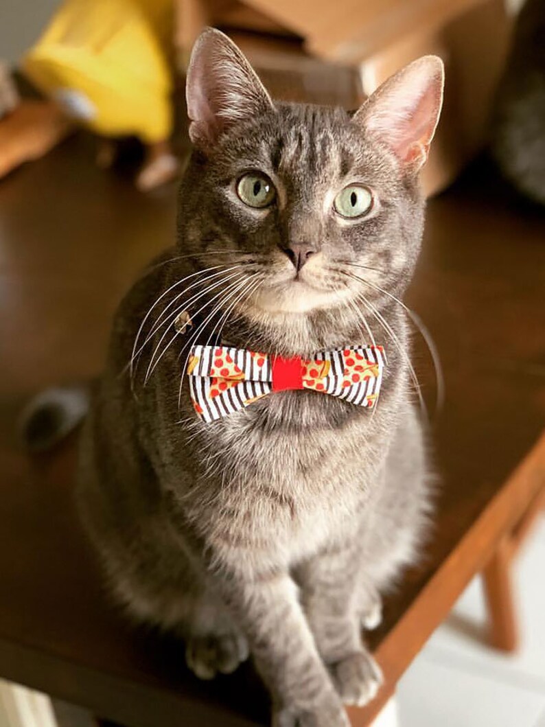 Pizza Bow Tie Cat Collar Set Pizza Party Red Etsy