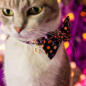 Pu&ograve; includere: Un gatto bianco e grigio con un papillon nero con un motivo a mezzaluna e stella rosa, arancione e gialla. Il papillon ha un ciondolo dorato con una mezzaluna e una stella.