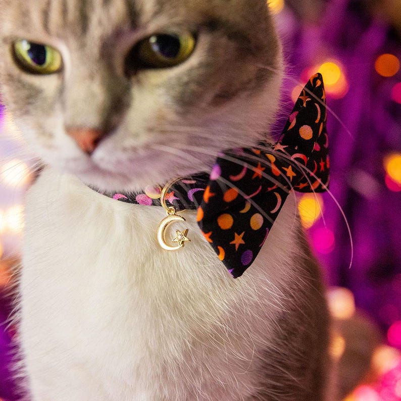 Pu&ograve; includere: Un gatto bianco e grigio con un papillon nero con un motivo a mezzaluna e stella rosa, arancione e gialla. Il papillon ha un ciondolo dorato con una mezzaluna e una stella.