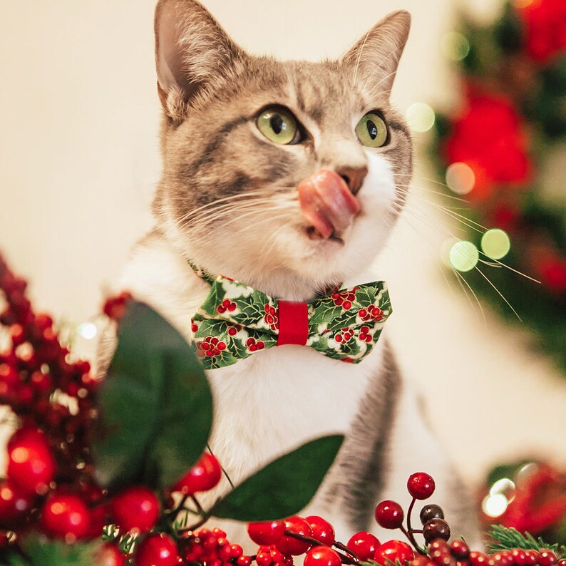 May include: A gray and white cat wearing a green and red bow tie with a holly pattern. The cat is licking its lips and looking to the right. The cat is sitting in front of a red and green Christmas wreath.