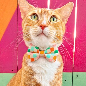 K&ouml;nnte beinhalten: Eine rot getigerte Katze mit gr&uuml;nen Augen tr&auml;gt eine farbenfrohe karierte Fliege. Die Fliege hat orange, gr&uuml;ne, rosa und blaue Quadrate. Der Hintergrund besteht aus rosa und orangefarbenen vertikalen Streifen.
