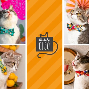 May include: Four gray and white cats wearing colorful bow ties. The cats are in different poses and settings. The text "Made by CLEO" is in the center of the image.
