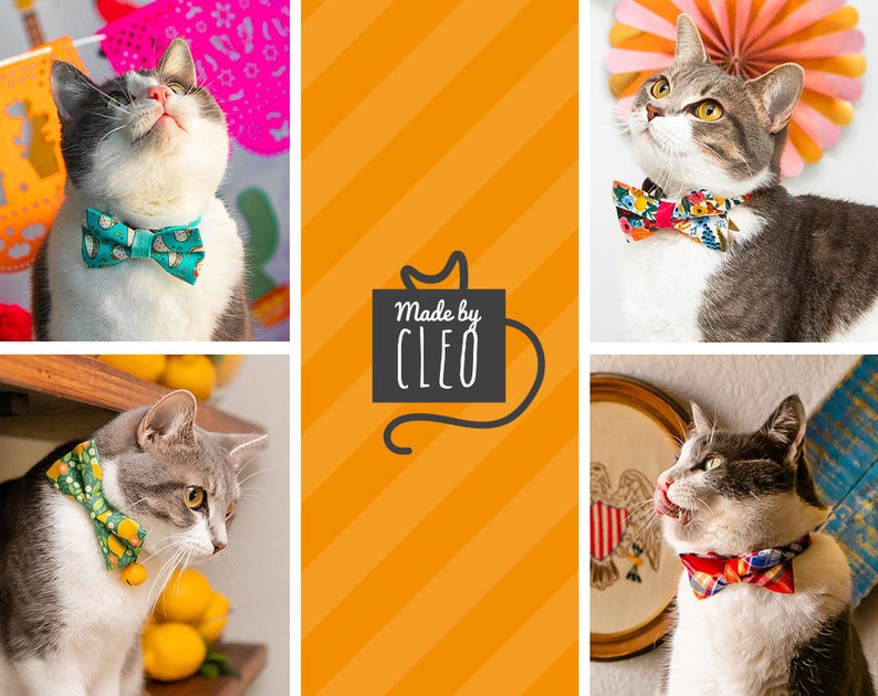 Cat Collar lemon Trees Yellow Citrus Etsy