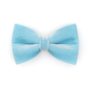 May include: A light blue velvet bow tie.