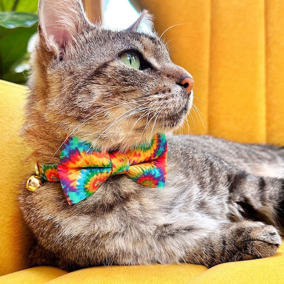 Bow Tie Cat Collar Set - "Woodstock" - Rainbow Tie Dye Cat Collar w/ Matching Bowtie / Summer, Boho, LGBTQ Pride, Birthday / Cat + Small Dog