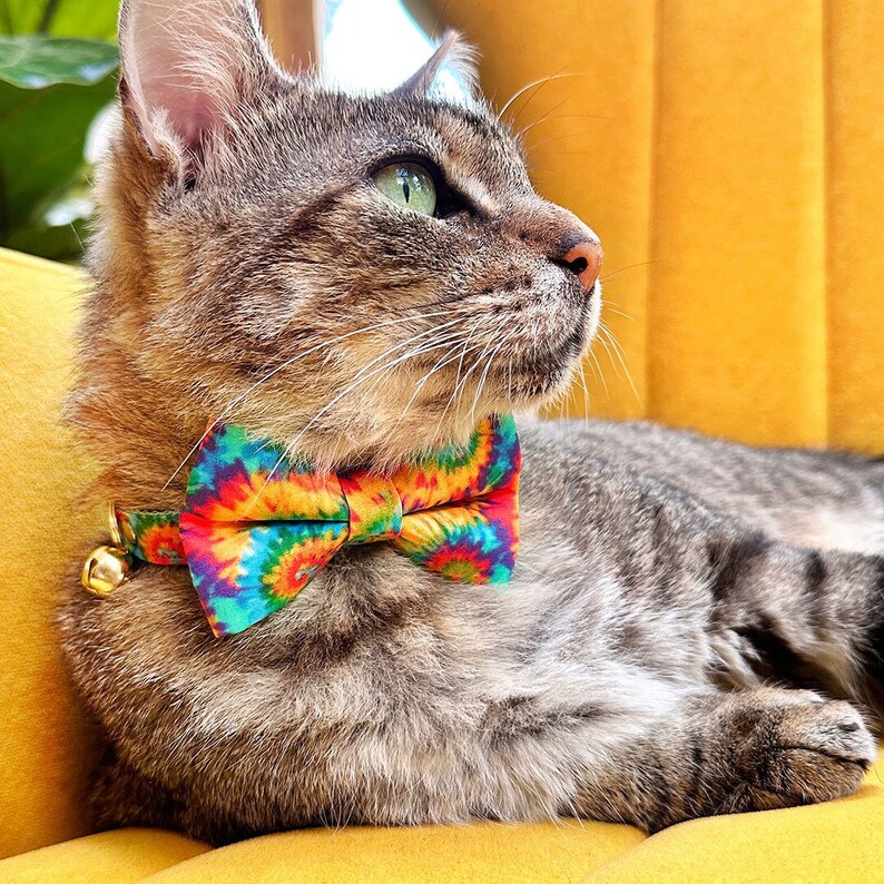 Może przedstawiać: Koty tabby w kolorowym krawacie typu tie-dye z dzwonkiem w kolorze złotym na obroży.