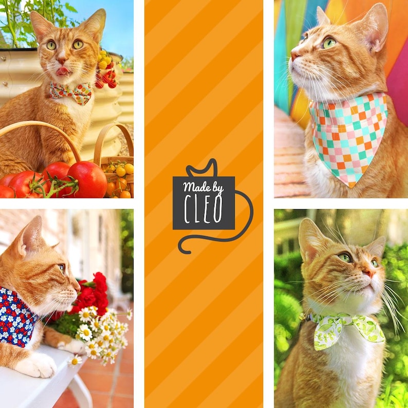 K&ouml;nnte beinhalten: Eine Collage von rot getigerten Katzen, die bunte Bandanas und Fliegen tragen. Die Katzen befinden sich in verschiedenen Au&szlig;enbereichen, eine leckt sich die Lippen. Das mittlere Panel zeigt den Text "Made by CLEO" auf schwarzem Hintergrund.