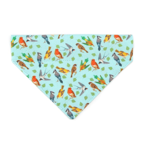 Cat Bandana - "Birds of a Feather" - Robin's Egg Blue Bird Bandana for Cat + Small Dog / Nature,Audubon / Slide-On / Over-the-Collar Bandana