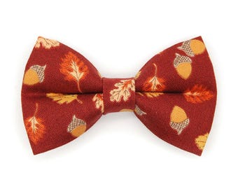 Burgundy Cat Bow Tie - "Acorn Hill" - Fall Leaves & Acorn Bow Tie for Cat Collar / Autumn + Thanksgiving / Cat, Kitten + Small Dog Bowtie