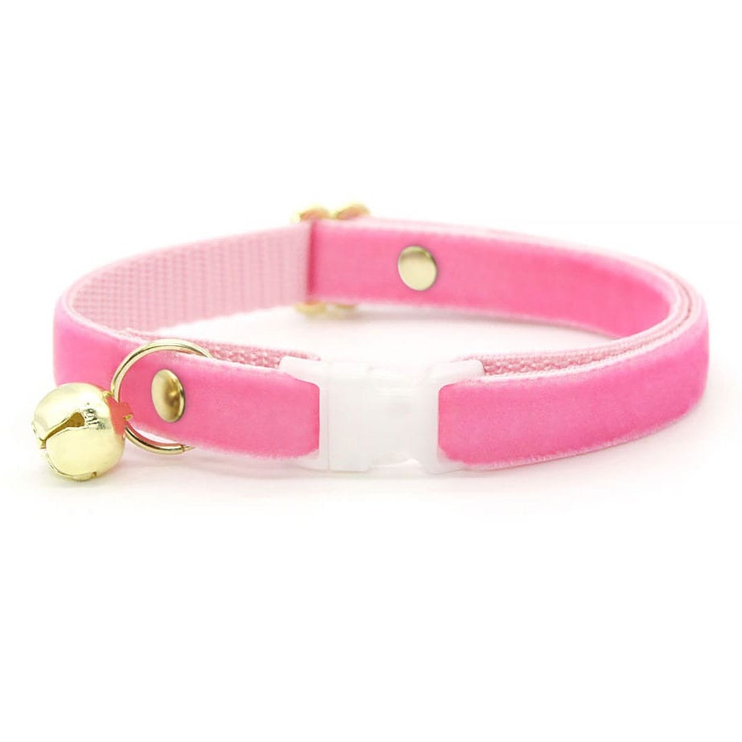 Pink hotsell cat collar