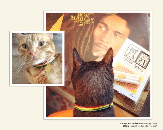 rasta cat collar