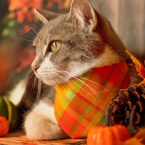 Fall Cat Bandana - &quot;Cider Hill&quot; - Autumn Orange Plaid Bandana for Cat + Small Dog / Thanksgiving, Harvest, Scout, Camping / Slide-on Bandana