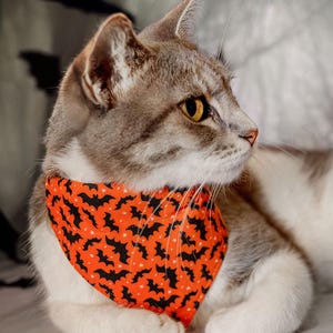 Halloween Cat Bandana - &quot;Batty Babe - Orange&quot; - Bat Bandana for Cat + Small Dog / Spooky, Creepy, Gothic / Slide-on Bandana Over-the-Collar