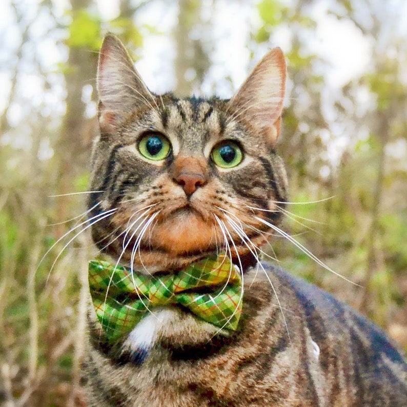 Holiday Cat Bow Tie Hillside Green Christmas | Etsy