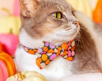 May include: A gray and white cat wearing a bow tie with a floral pattern in shades of pink, orange, and black. The cat is sitting on a white surface with pumpkins in the background.
