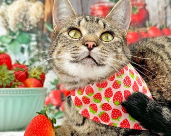 Strawberry Cat Bandana - "Strawberry Patch" - Red Berry Fruit Bandana for Cat + Small Dog / Fun, Cute, Spring, Summer / Slide-on Bandana