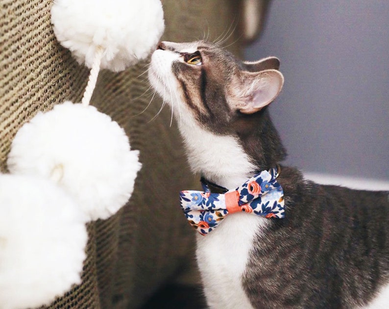 Bow Tie Cat Collar Set amelie Rifle Paper Co® Etsy