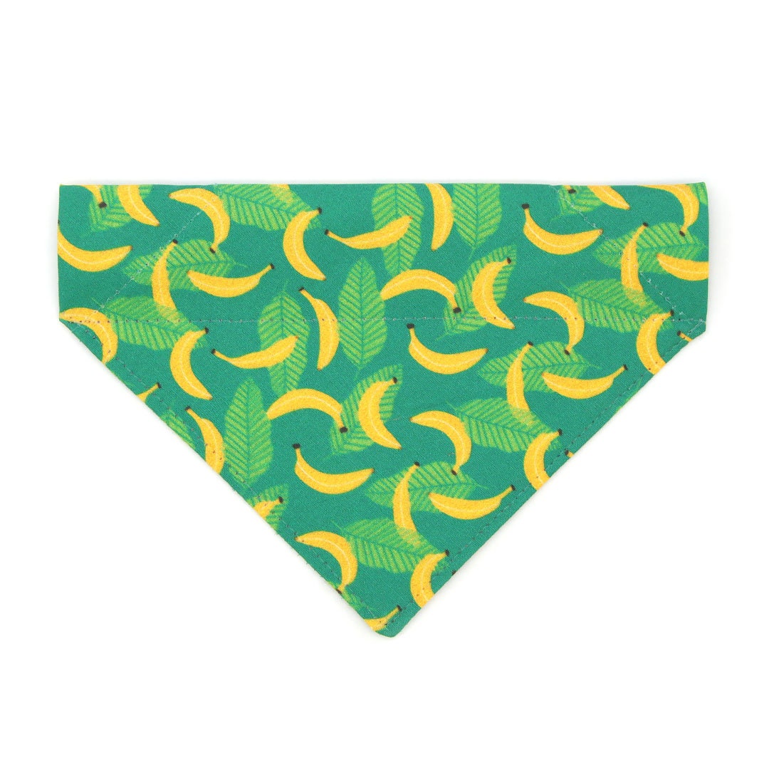 Cat Bandana going Bananas Green Tropical Bandana for Cat Small Dog / Spring, Summer, Fruit
