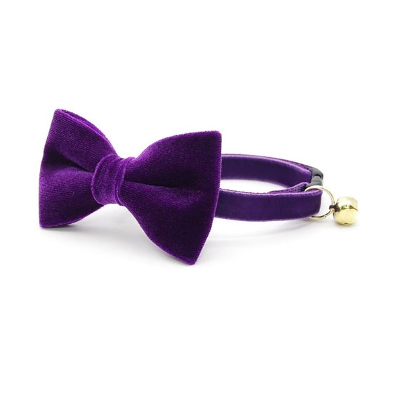 Purple bow tie dog collar discount