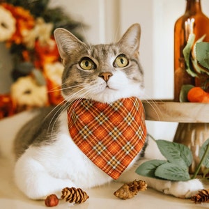 Cat Bandana - &quot;Pecan Praline&quot; - Burnt Orange Plaid Bandana for Cat + Small Dog / Fall, Thanksgiving, Wedding, Tartan / Slide-on Bandana