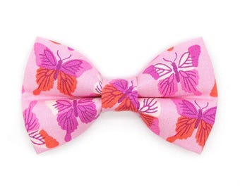 Gravata Borboleta para Gato - "Jardim de Borboletas" - Gravata Borboleta Rosa para Coleira de Gato / Borboletas, Fofa, Menina / Gato, Gatinho + Gravata Borboleta para Cachorro Pequeno