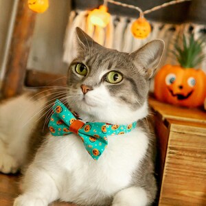 May include: A gray and white cat wearing a teal bow tie with a Halloween pumpkin pattern. The bow tie is tied around the cat's neck.
