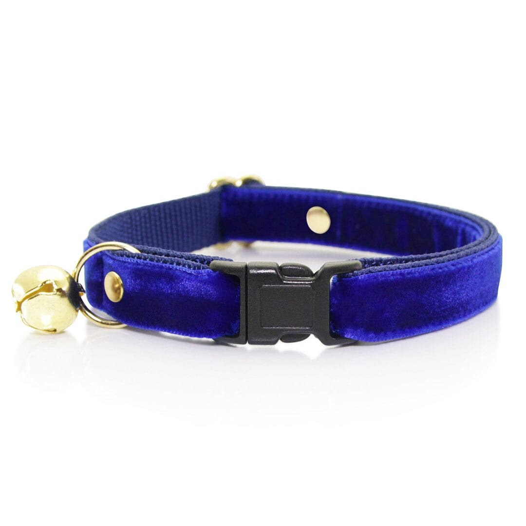 Cat Collar velvet Sapphire Blue Bright Blue Velvet Cat Collar Breakaway