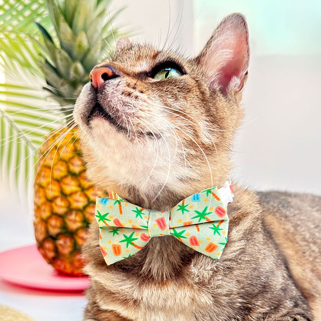 breakaway cat collar bow tie