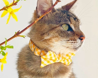 Bow Tie Cat Collar Set 