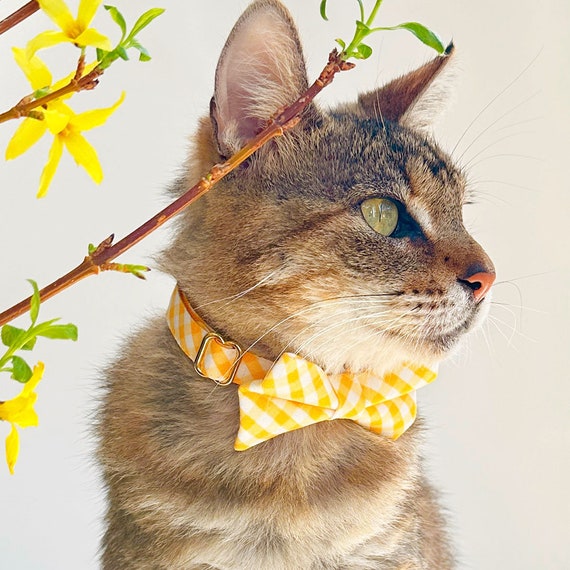 cat bow tie collar amazon