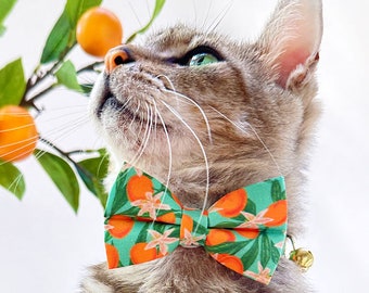 Bow Tie Cat Collar Set - "Clementine Blossom" - Green & Orange Citrus Cat Collar w/ Matching Bow / Tangerine, Summer / Cat + Small Dog Sizes