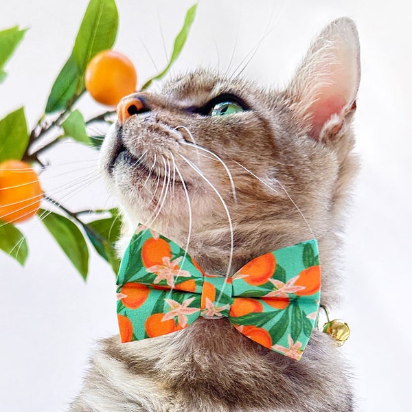 Bow Tie Cat Collar Set - "Clementine Blossom" - Green & Orange Citrus Cat Collar w/ Matching Bow / Tangerine, Summer / Cat + Small Dog Sizes