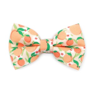 Cat Bow Tie - &quot;Just Peachy&quot; - Peach Bow for Cat Collar / Peaches, Fruit, Spring, Pet  / Cat, Kitten, Small Dog Bowtie