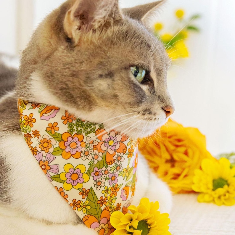 May include: A grey and white cat wearing a white bandana with a floral pattern in shades of orange, yellow, pink and green. The cat is looking to the right and is sitting on a white surface with yellow flowers.