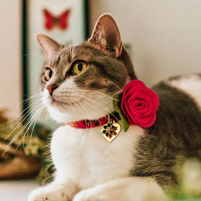 Cat Collar Charm / Small Pet Charm / Small Collar Charm Etsy