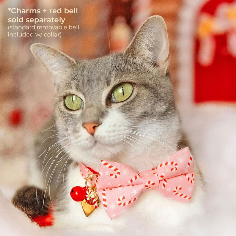 May include: A gray and white cat wearing a pink bow tie with red and white candy cane print. The bow tie has a gold bell charm attached. The cat is looking to the right of the image. *Charms + red bell sold separately (standard removable bell included w/ collar)