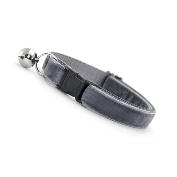 gray cat collar
