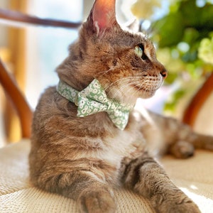 Katzenhalsband Set ""Apple Blossom"" - Hellgrünes Katzenhalsband mit passender Fliege / Frühling, Salbeigrün / Katze, Kätzchen, kleiner Hund."
