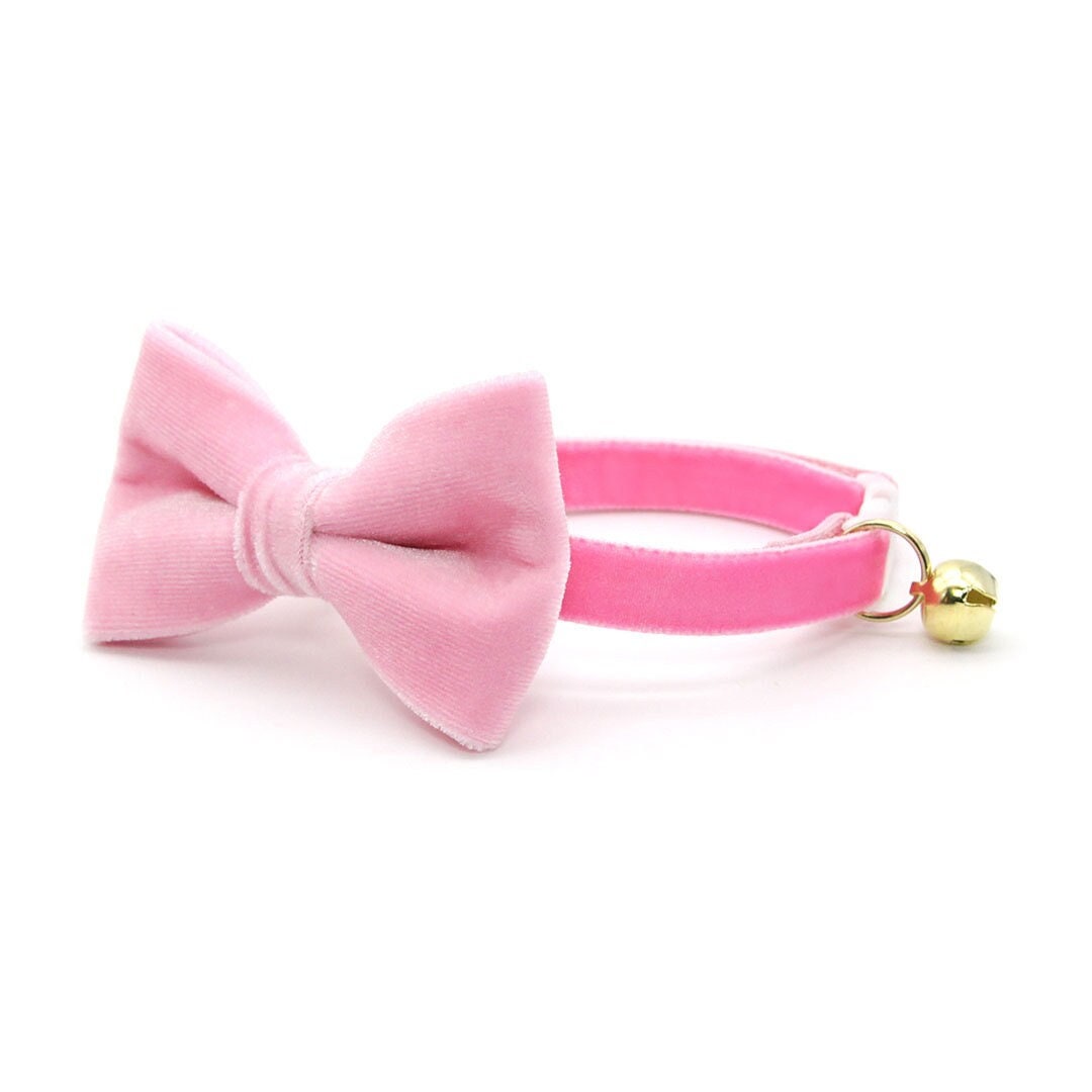 Pink bow store collar