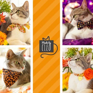 Peut inclure: Trois chats tabby gris portant des colliers diff&eacute;rents sur le th&egrave;me d'Halloween. Le premier chat porte un collier &agrave; imprim&eacute; floral, le deuxi&egrave;me chat porte un n&oelig;ud papillon noir avec des &eacute;toiles et des lunes blanches, et le troisi&egrave;me chat porte un bandana noir et orange avec une &eacute;tiquette dor&eacute;e qui dit "Jinx".
