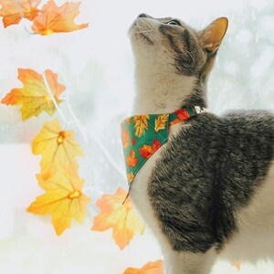Cat Bandana Maple Hill Autumn Leaves Bandana for Cat Small Dog / Teal, Maple Leaf / Fall, Thanksgiving, Canada / Slide-on Bandana image 4