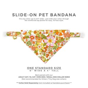 May include: A white bandana with a floral pattern for pets. The bandana is 6 inches wide and 4 inches tall. It has a slide-on design that fits collars up to 3/4 inch wide.