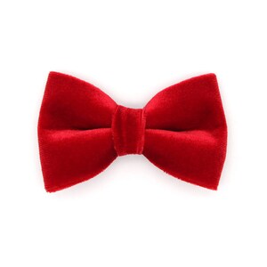 "Katzen Fliege - ""Velvet - Granat Rot"" - Urlaub Haustier Fliege / Katzen Geschenk / Weihnachten / Geschenk für Katzenliebhaber / Katze, Kätzchen, Kleine Hund Fliege (One Size)"