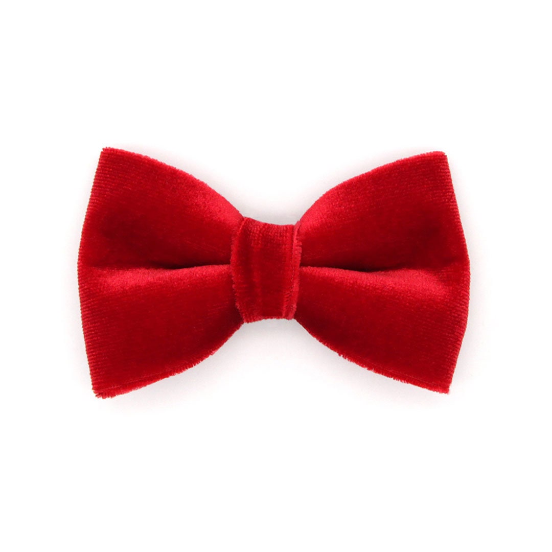 Cat Bow Tie - "Velvet - Garnet Red" - Holiday Pet Bow Tie / Cat Gift / Christmas / Catlover Gift / Cat, Kitten, Small Dog Bowtie (One Size)