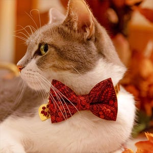 Op de afbeelding: Een grijze en witte kat met een rode paisley vlinderdas en een gouden hartvormig label. De kat kijkt naar links, met groene ogen en lange witte snorharen. De achtergrond heeft een warme herfstkleur.