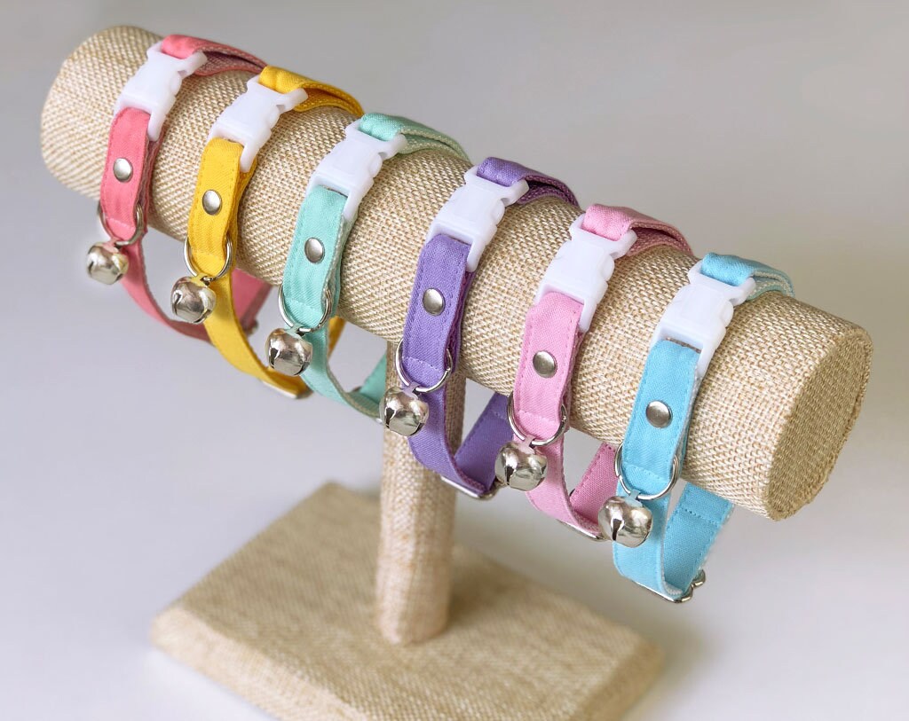 light blue kitten collar